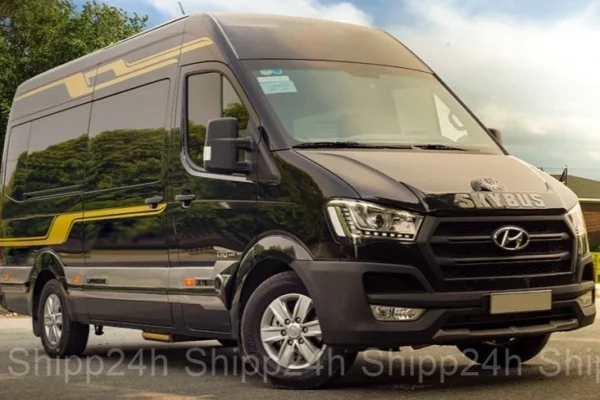 Xe 16 chỗ VIP limousine 2025